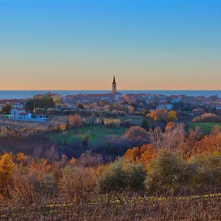 Luxury Brand New With 360 Views! Villa Brtonigla